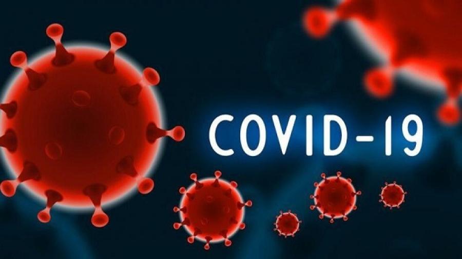 covid-19.jpg