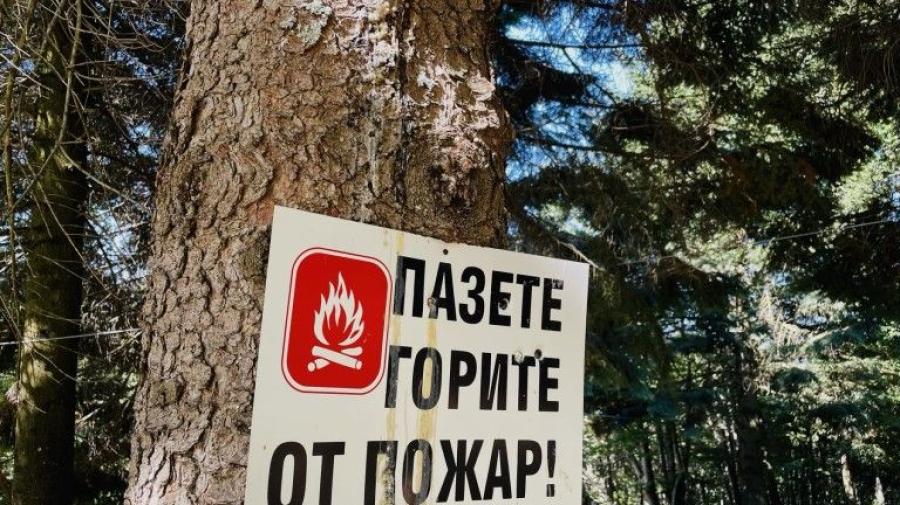 gora.jpg